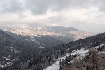 Piękny zimowy krajobraz i ośnieżone drzewa. Mroźny dzień w górach. Pastelowa panorama...
