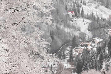 Piękny zimowy krajobraz i ośnieżone drzewa. Mroźny dzień w górach. Pastelowa panorama...