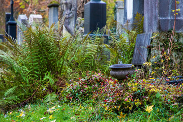 Fototapeta na wymiar old grave yard haunted and decaying