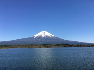 Fototapeta premium mountain and blossoms