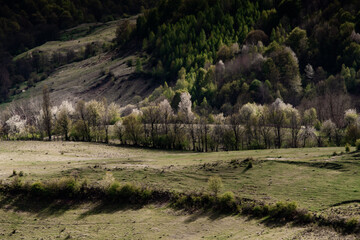 Spring nature landscape in Apuseni Mountains Romania
