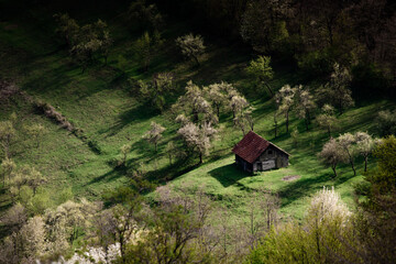 Spring nature landscape in Apuseni Mountains Romania