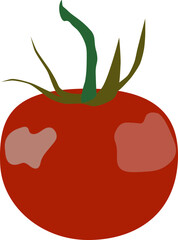 Vector whole, sliced red tomato