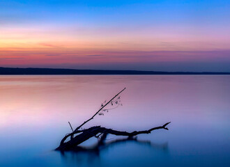 Fototapeta premium Baumstamm, Treibholz im Ammersee, Bayern, Deutschland