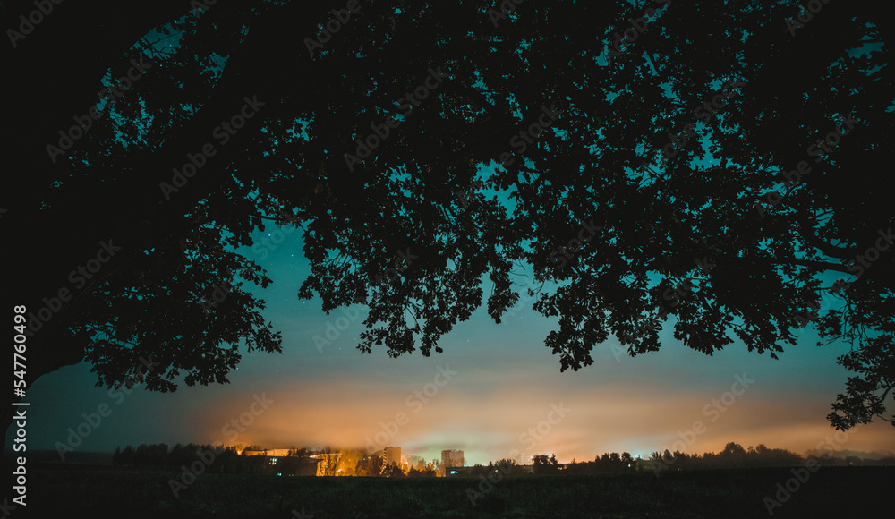 Wall mural Light of the night city on a foggy night