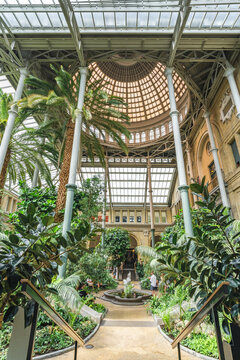 Copenhagen, Denmark. Circa September 2022. Interior hall of the Ny Carlsberg Glyptotek, a glass-domed conservatory with palms