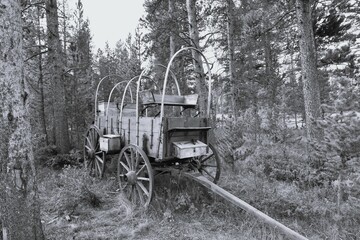 Fototapeta na wymiar Old-fashioned, rustic wagon amidst trees on ranch or farm