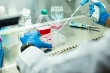 cell culture at the medicine, medical and cell culture laboratory