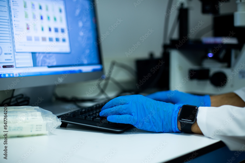Wall mural using a computer in the laboratory