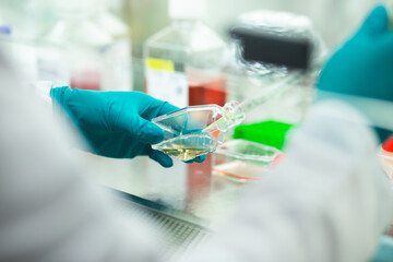 cell culture at the medicine, medical and cell culture laboratory