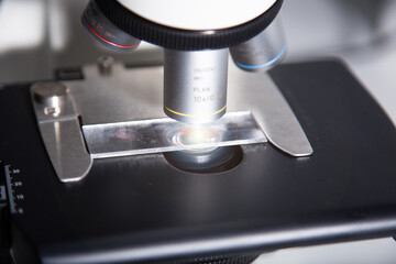 microscope blood sample at the medicine and medical laboratory