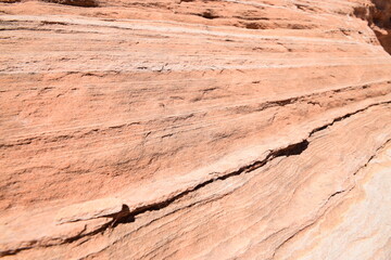 Fototapeta na wymiar Close-up of red sandstone formation, pattern shaped by erosion in the desert