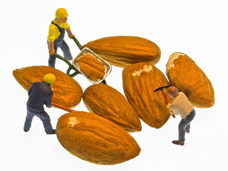 Quality control about almonds - HACCP (Hazard Analyses and Critical Control Points) concept with...