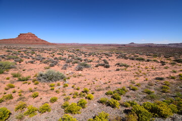 Wide, horizontal landscape of red sand desert and mountain range