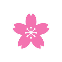 Pink colored japanese cherry sakura flower isolated on white background vector illustration, icon, sign. Sakura silhouette. Sakura petal. Blossom sakura flower, cherry blossoming, flowering graphics, 