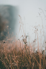 Preikestolen during moody weather in autumn Norway