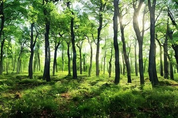 Fototapeta premium Beautiful 3D Nature and landscape wallpaper