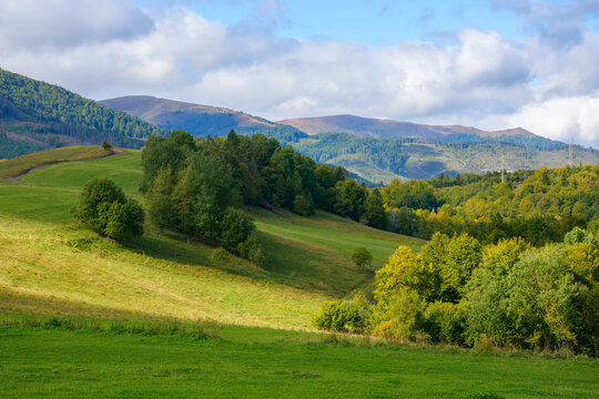 carpathian landscape in september. forested hills rolling in to the distant mountain ridge. warm sunny weather with fluffy clouds on the sky in autumn