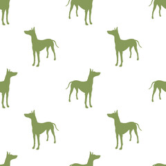 Standing pharaoh hound isolated on white background. Seamless pattern. Dog silhouette. Endless texture. Design for wallpaper, wrapping paper, fabric.