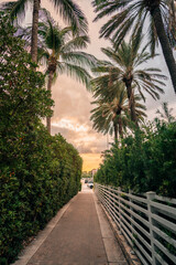 Fototapeta premium path to the beach Miami Beach hotel 