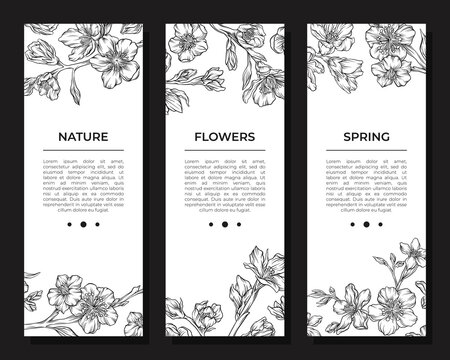 Nature, flower and spring onboard screen templates set. Mobile app, landing page black silhouettes of blooming flowers hand drawn vector