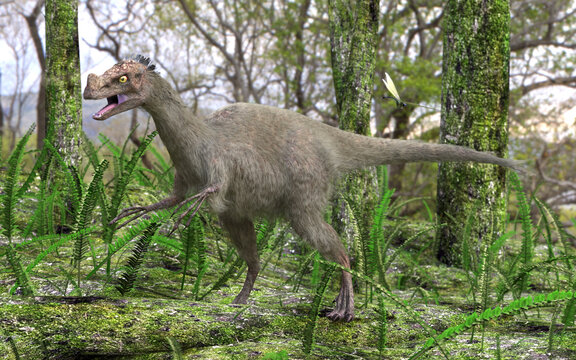 The dinosaur Ornitholestes moving through a swampy forested area in this late Jurassic scene. Dinosaur depicted with fur and feathers.