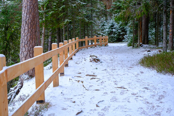 New treated wooden fence. Walking tourist trail in the forest nature park. Skanaiskalns nature park. November is the first snow in Mazsalaca in Latvia.