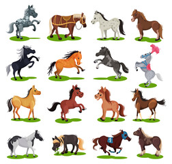 Collection of ponies. Cute little horses of different colors cartoon vector