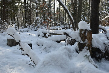 La Plaine 20 Novembre 2022