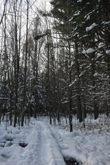 La Plaine 20 Novembre 2022