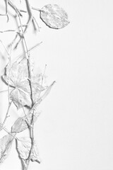 Dry leaves and twigs on white background