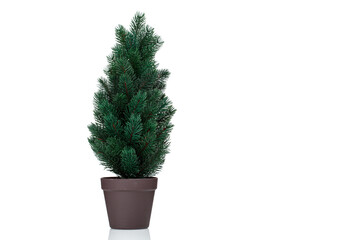 beautiful Christmas tree in a pot on a white background