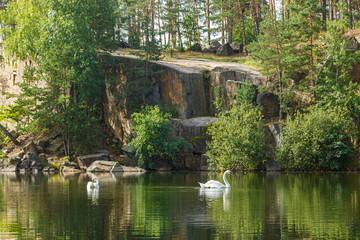 Fototapeta na wymiar beautiful lake with a canyon on which swans swim with a blue sky