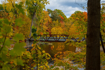 Vibrant fall colors surrounding the bridge in Island Park Grand Ledge, MI
