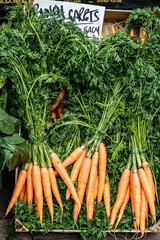 Display Of Fresh Raw Uncooked Organic Carrots