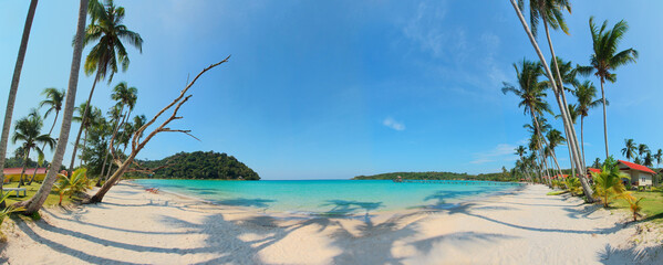 Panorama of exotic tropical beach