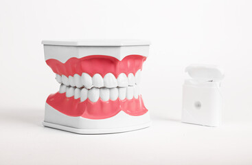 Dental floss and teeth jaw. Dental hygiene concept