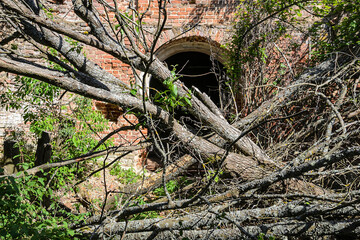 interior of an abandoned orthodox church