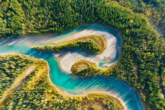 A drone view of the river in the woods. An aerial view of an autumn forest. Winding river among the trees. Turquoise mountain water. Landscape with soft light before sunset. Alberta, Canada. - Powered by Adobe
