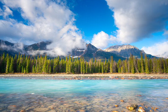 Mountain landscape at the day time. River and forest in a mountain valley. Natural landscape with a blue sky and clouds. Banff National Park, Alberta, Canada.