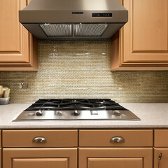 Upscale Gas Stove Burner and Exhaust Fan in a Modern Kitchen