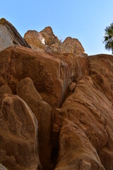 Fototapeta premium Palm Canyon, Palm Springs