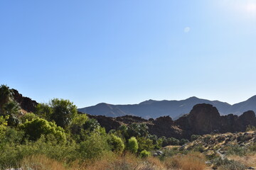 Palm Canyon, Palm Springs