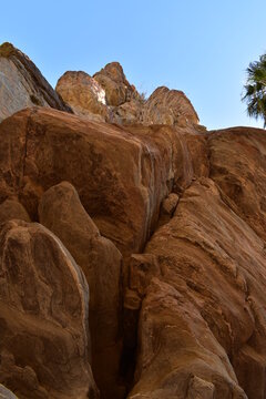 Palm Canyon, Palm Springs
