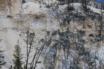 nests and holes in the wall of canyon