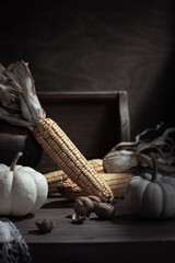 Pumpkin and autumn harvest at table. Autumn still life with food on wooden tabletop