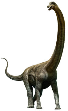 Puertasaurus from the Cretaceous era 3D illustration	