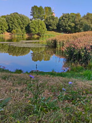 At the end of summer