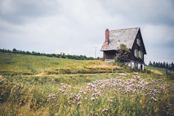 Fototapeta na wymiar Schwarzwaldhaus