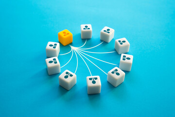 The team leader is connected to teammates. Leadership and organization skills. Feedback,...